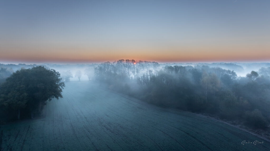 Niemansland vanaf de uitkijktoren in de bossen van st Jansteen niemandsland